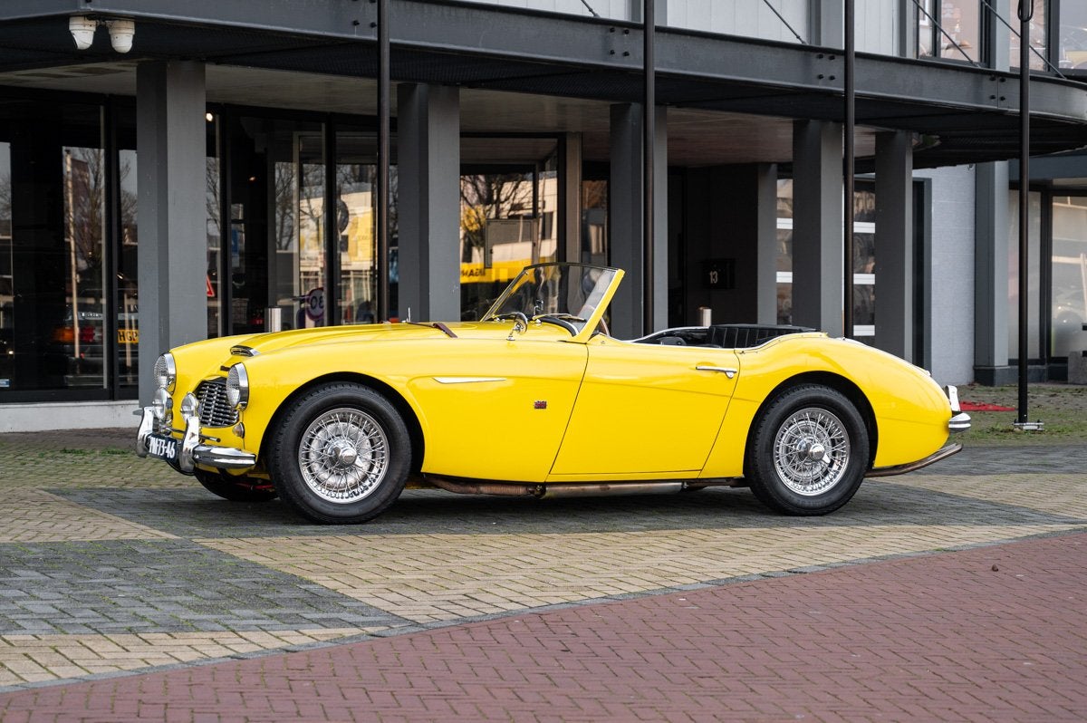 Austin Healey 100 6, Autos, Austin, Achat, Intérieur cuir, Toit ouvrant, Essence, Cabriolet, 2 portes, Boîte manuelle, Jaune, Cuir