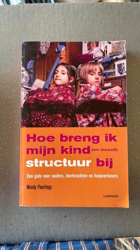 Hoe breng ik mijn kind structuur bij, Ophalen of Verzenden, Zo goed als nieuw