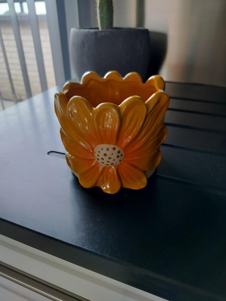 Pot de fleurs peint à la main, Enlèvement
