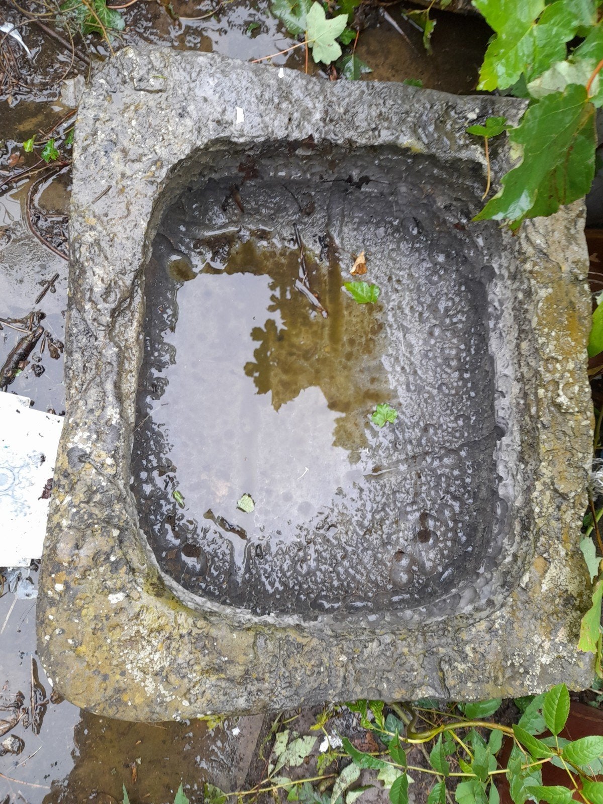 auge, Jardin & Terrasse, Enlèvement