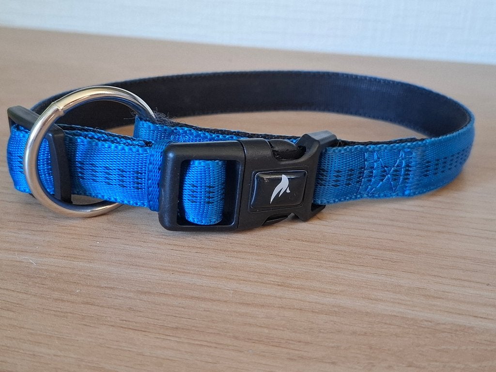 Collier pour chien bleu roi, Envoi, Utilisé, Collier