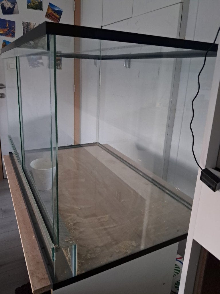 Terrarium, Dieren en Toebehoren, Reptielen en Amfibieën | Toebehoren, Ophalen, Zo goed als nieuw, Terrarium of Paludarium