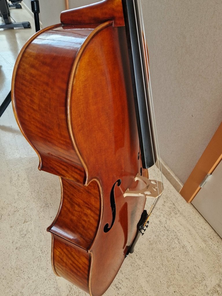 Violoncelle 4/4 Jay Haide Ruggeri, archet et étui inclus, Musique & Instruments, Enlèvement, Comme neuf, Violoncelle 4/4, Avec valise