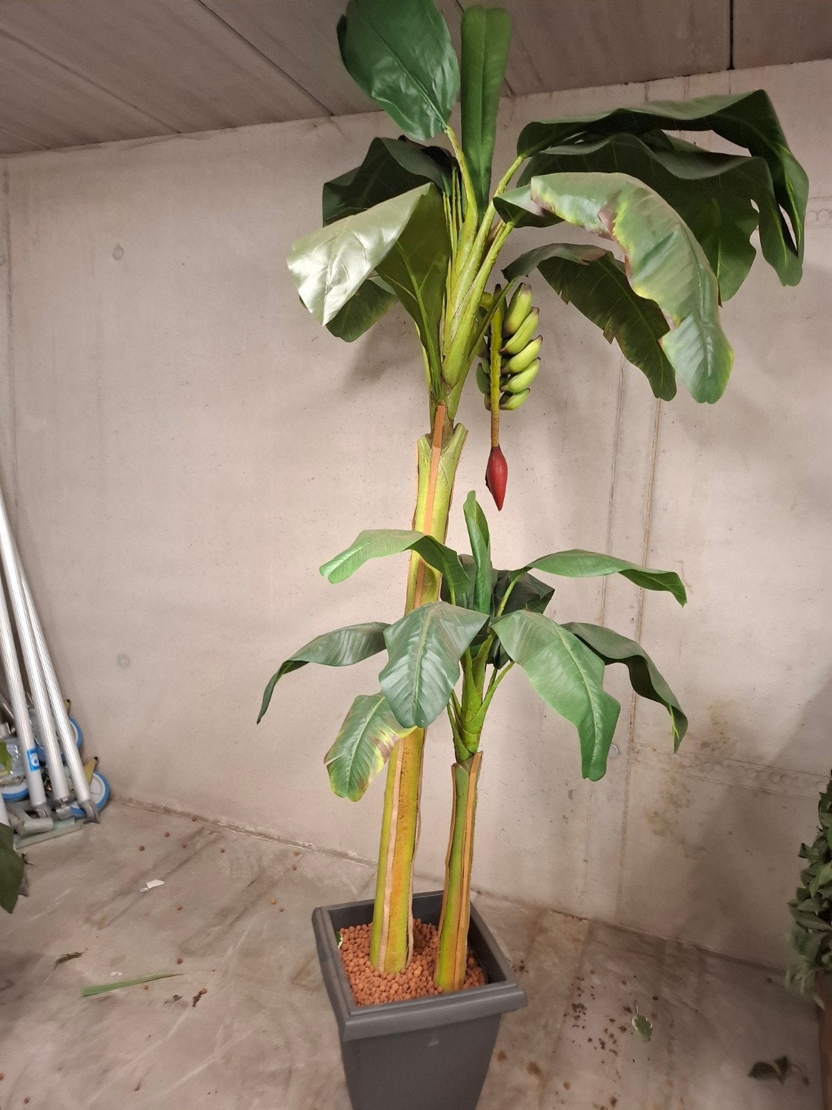 kunstplant, Ophalen, Binnen, Groen, Kunstplant