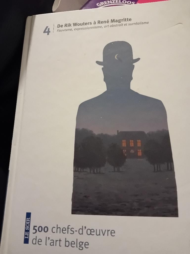 Livre 500 chefs d oeuvre de l art belge de rik wouters, Boeken, Ophalen of Verzenden