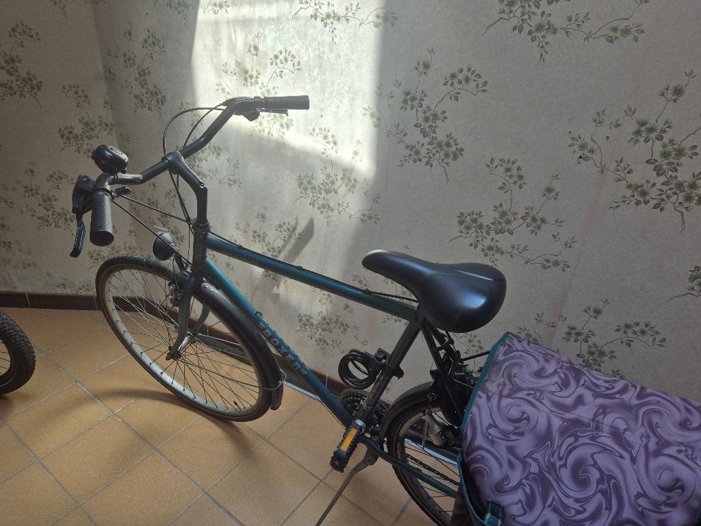 mannen fiets, Enlèvement, Utilisé