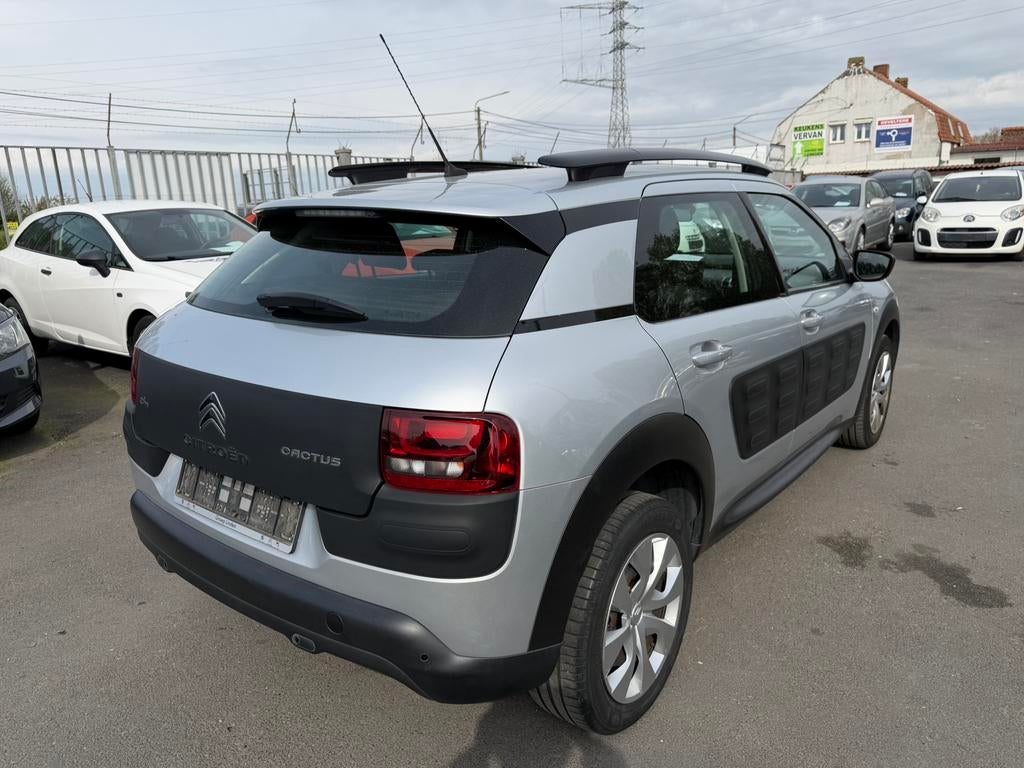 CITROËN CACTUS DIESEL 1.6 EU6b, Argent ou Gris, Achat, Euro 6, Entreprise