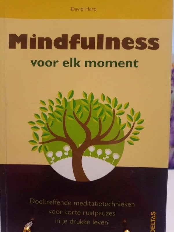 Mindfulness voor elk moment, Livres, Psychologie, Enlèvement ou Envoi, Comme neuf