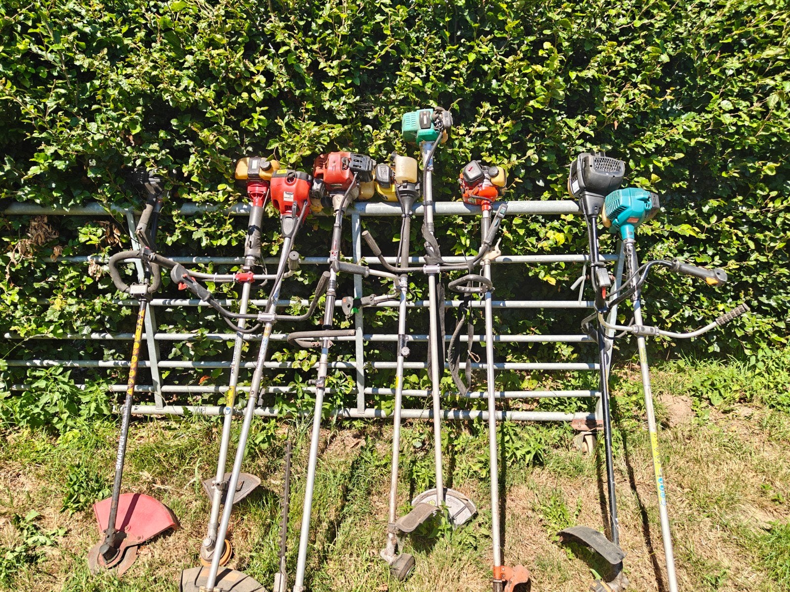 9 bosmaaiers, Tuin en Terras, Ophalen