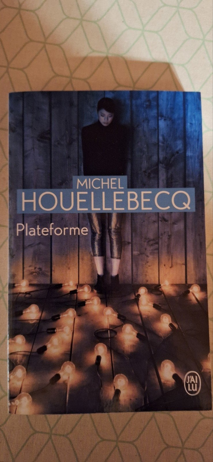 MICHEL HOUELLEBECQ - PLATEFORME, Enlèvement, MICHEL HOUELLEBECQ