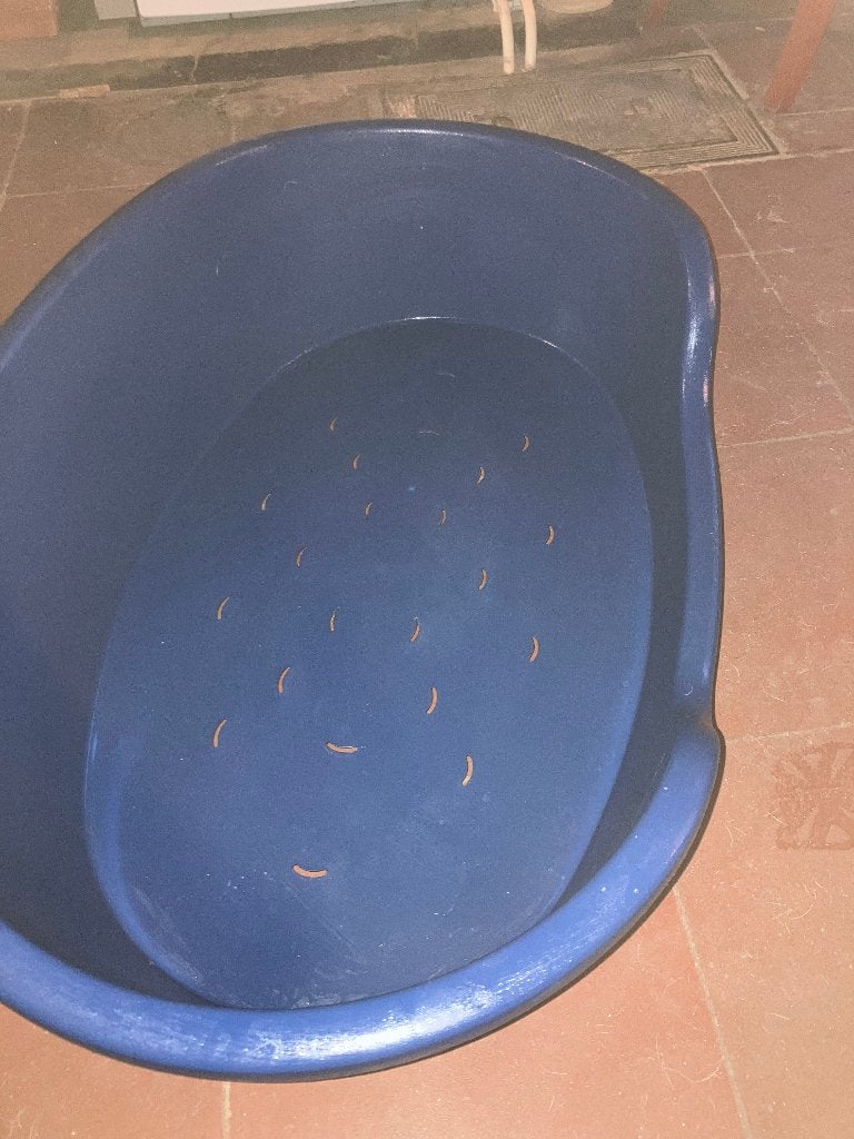 hondenmand 70/80 cm, Dieren en Toebehoren, Hondenmanden, Ophalen, Zo goed als nieuw, Polyester
