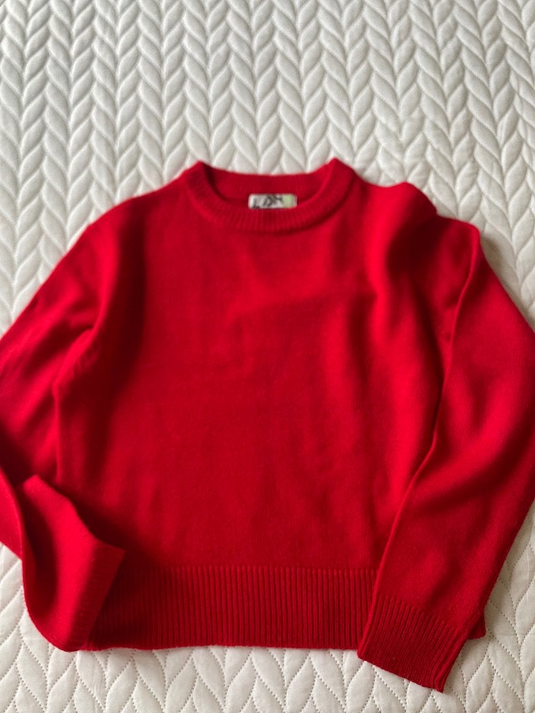 trui, Kleding | Dames, Truien en Vesten, Ophalen of Verzenden, Zo goed als nieuw, Maat 36 (S), Rood
