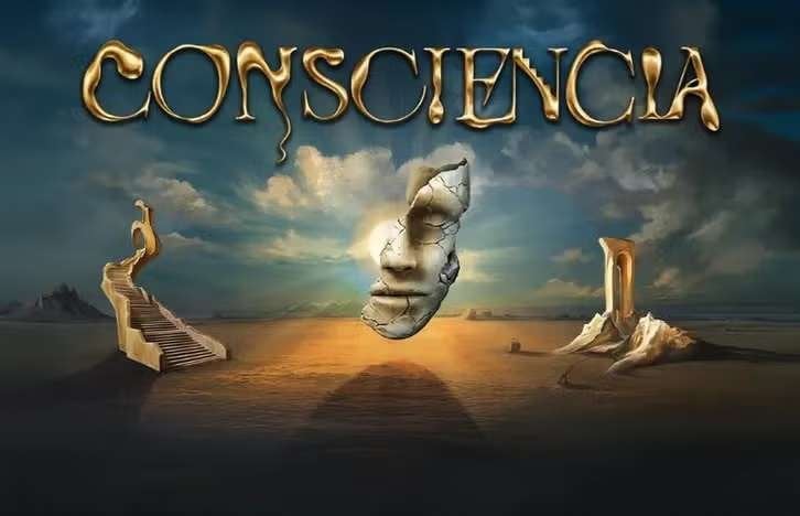 Tomorrowland W1 Full Madness + Magnificent Greens, Tickets & Billets, Événements & Festivals, Trois personnes ou plus, Plusieurs jours