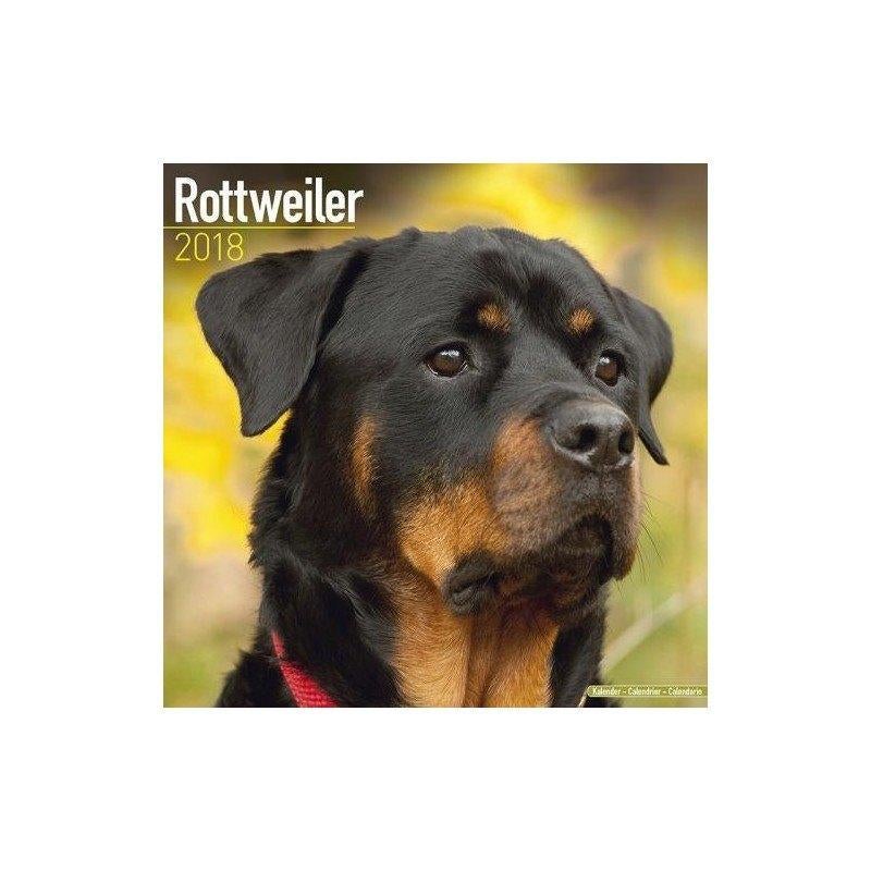 Calendrier Rottweiler 2018, Enlèvement ou Envoi, Calendrier annuel, Neuf