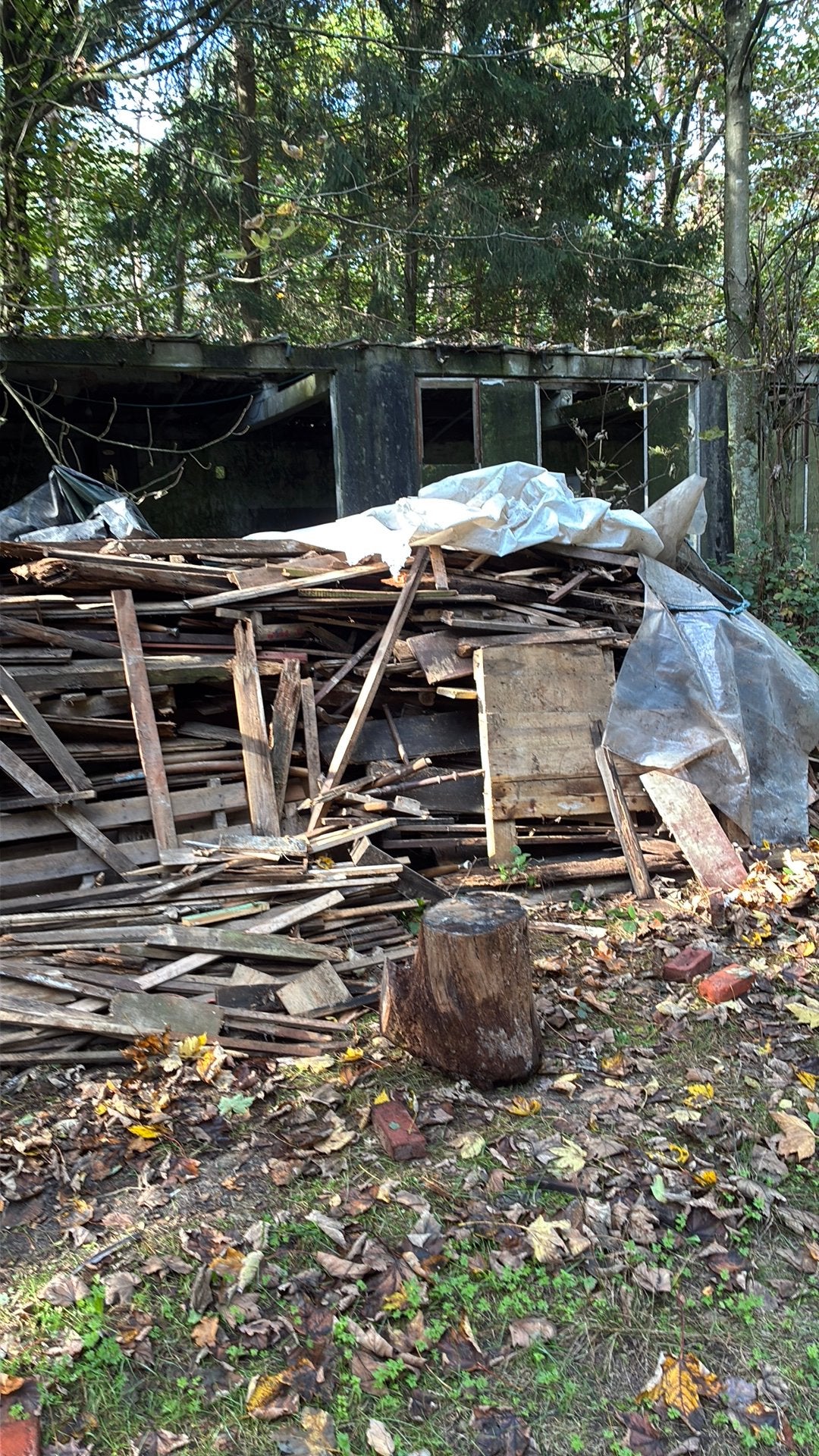 Gratis brandhout, Tuin en Terras, Ophalen