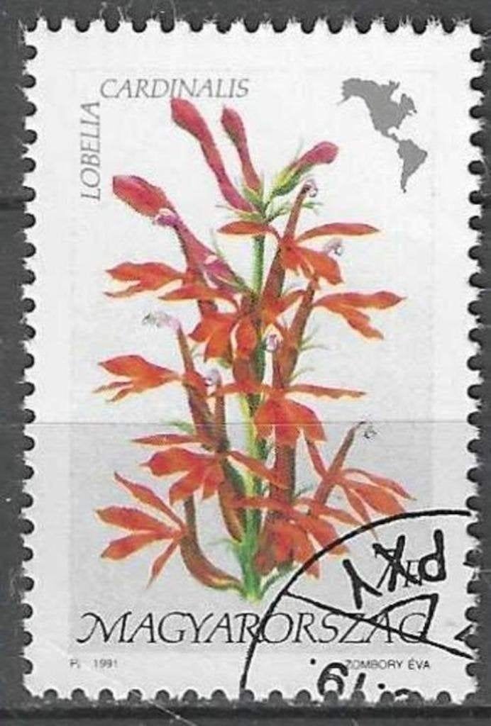 Hongarije 1991 - Yvert 3308 - Kardinaalslobelia (ST), Verzenden, Gestempeld