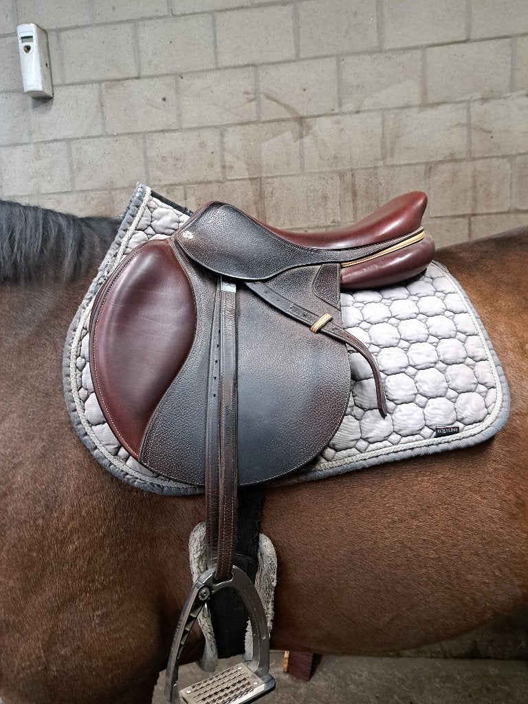 Cwd, Dieren en Toebehoren, L (17.5 inch), Ophalen of Verzenden, Middel, Middeldiepe zit