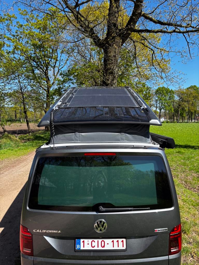 Vw california, Caravans en Kamperen, Mobilhomes, Particulier, tot en met 4, Buscamper of Camperbus, Volkswagen, 5 tot 6 meter