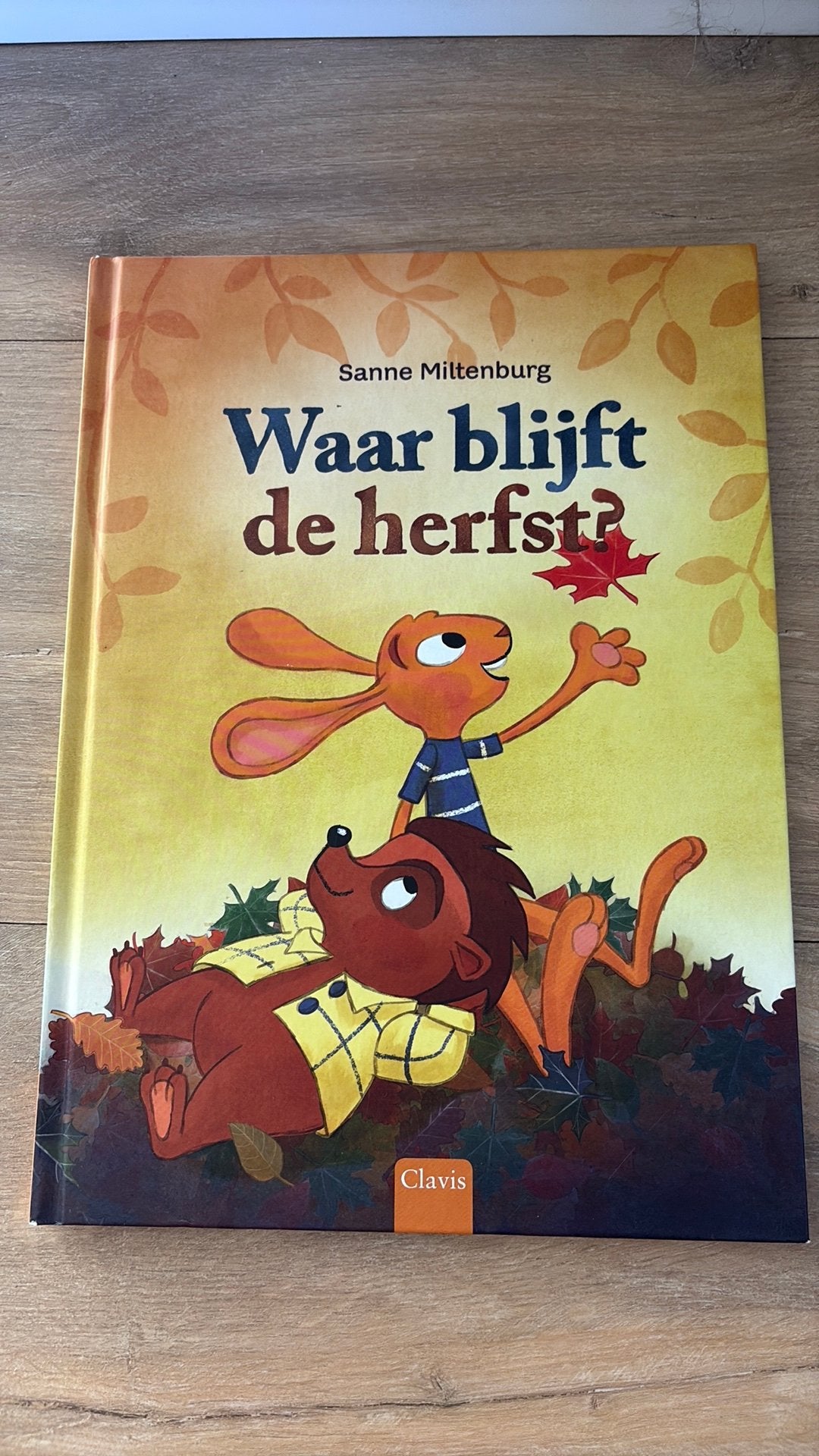 Waar blijft de herfst? Sanne Miltenburg, Boeken, Ophalen, Zo goed als nieuw, Prentenboek