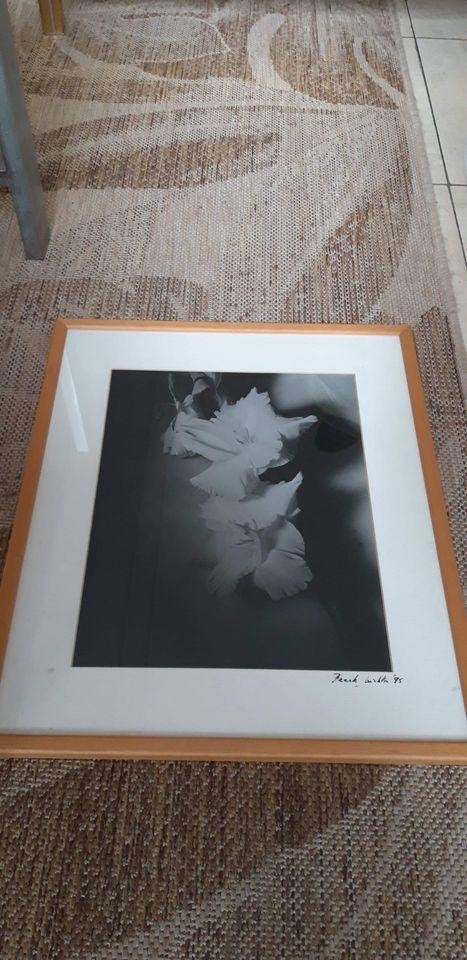 Kunstfoto Frank Lichta 1995 Gladiolen, Ophalen of Verzenden, Foto, Gesigneerd