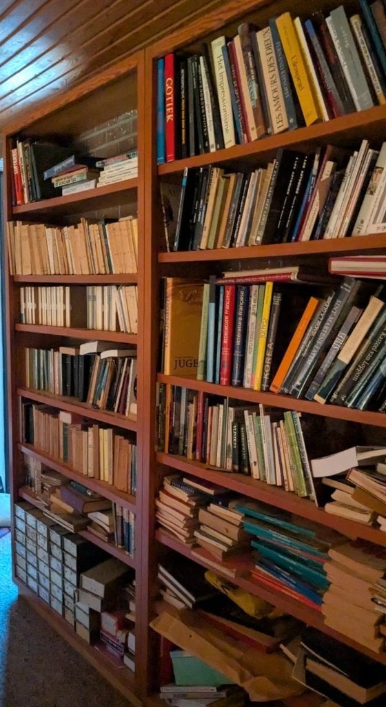 Lot boeken (kunst & franse literatuur), Livres, Enlèvement, Utilisé, Différents sujets