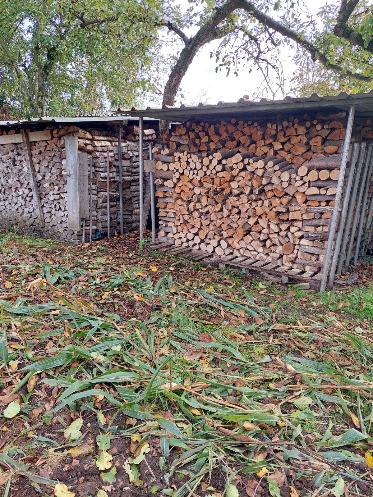 gemend hout, Enlèvement