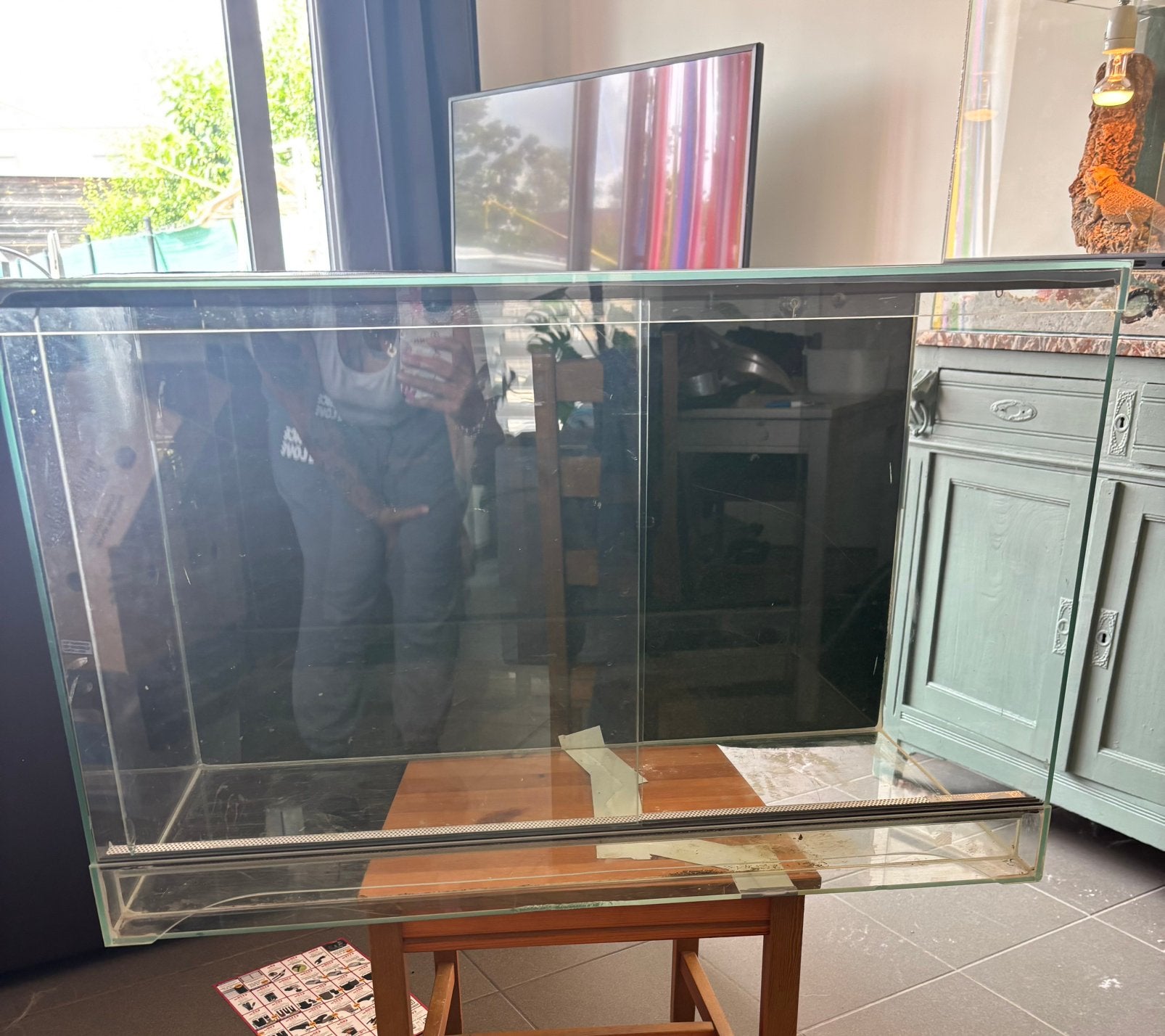 Terrarium, Animaux & Accessoires, Reptiles & Amphibiens | Accessoires, Enlèvement, Utilisé