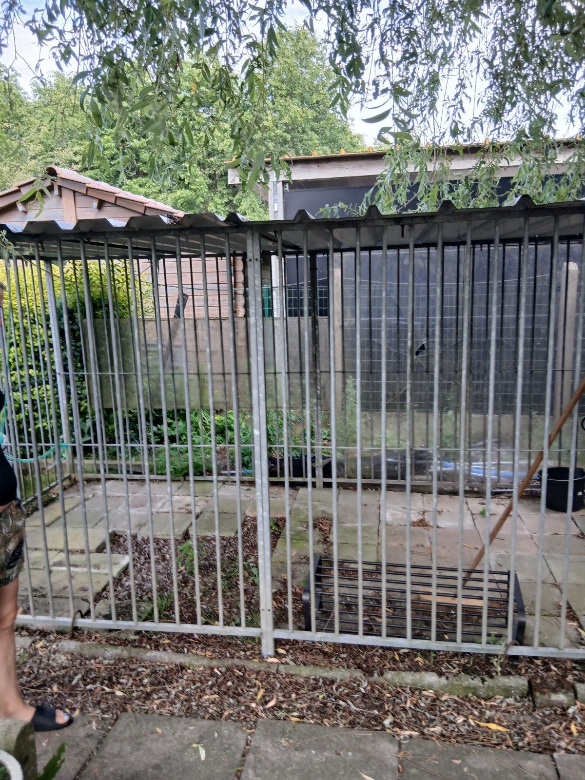 Hondenren kennel, Dieren en Toebehoren, Ophalen