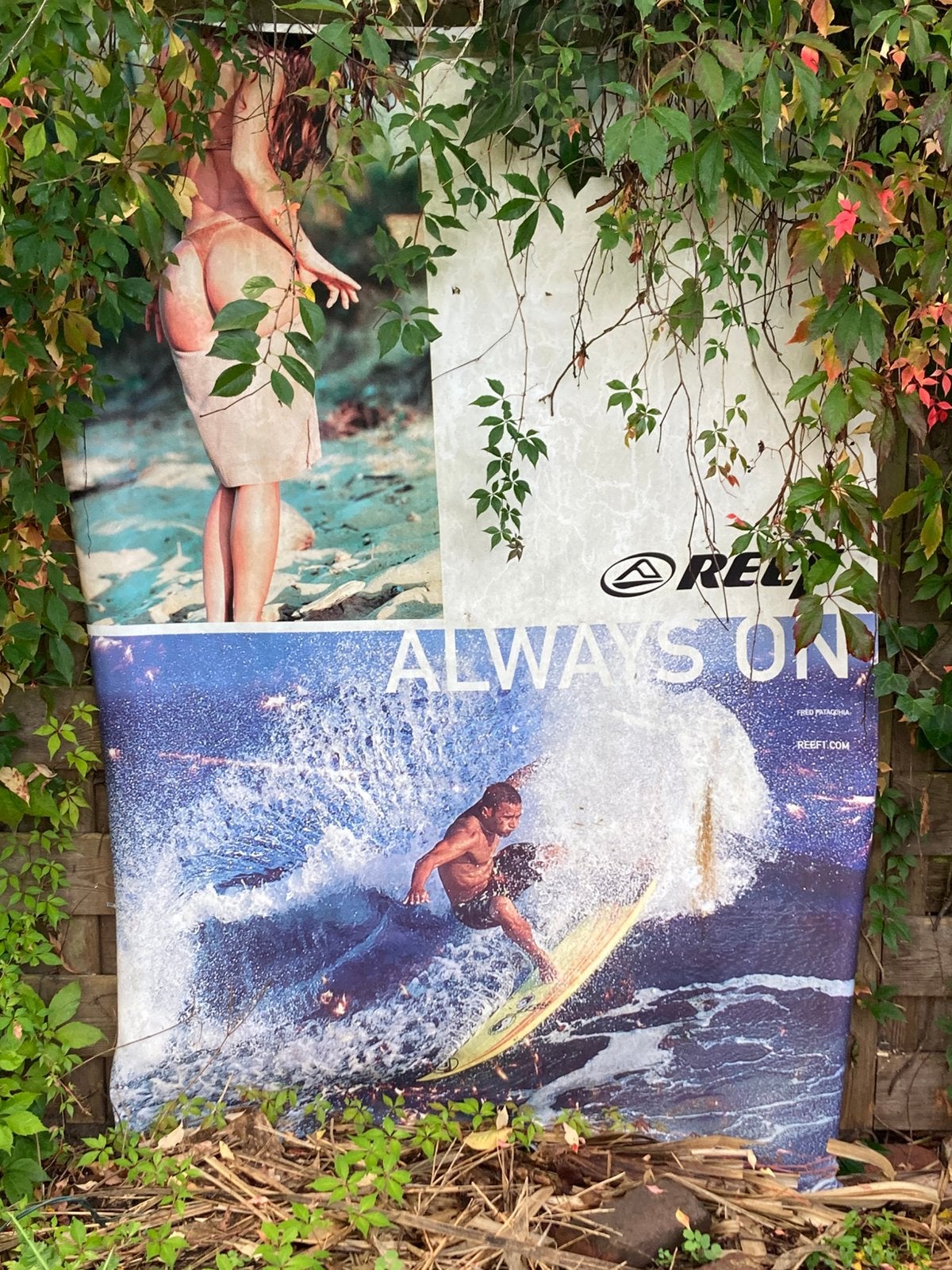 Vinyl Poster REEF SURF, Sports nautiques & Bateaux, Enlèvement, Utilisé