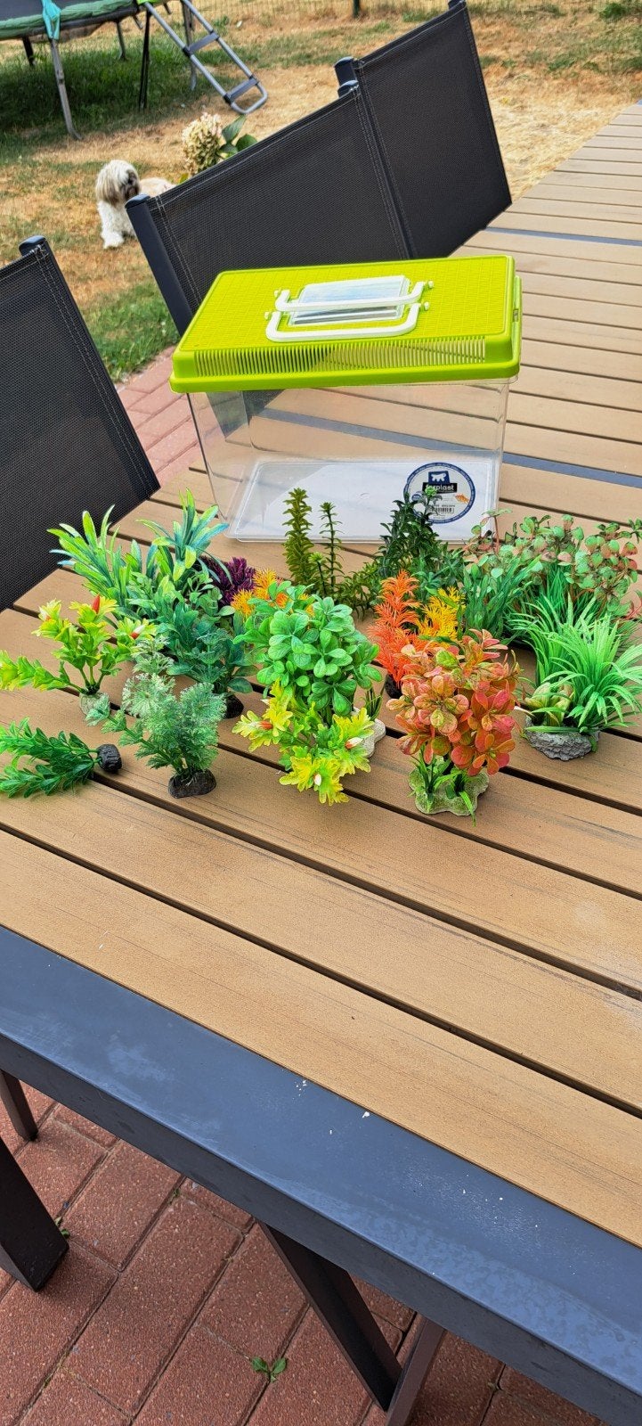 plantes artificielles avec bac à poisson, Enlèvement, Utilisé