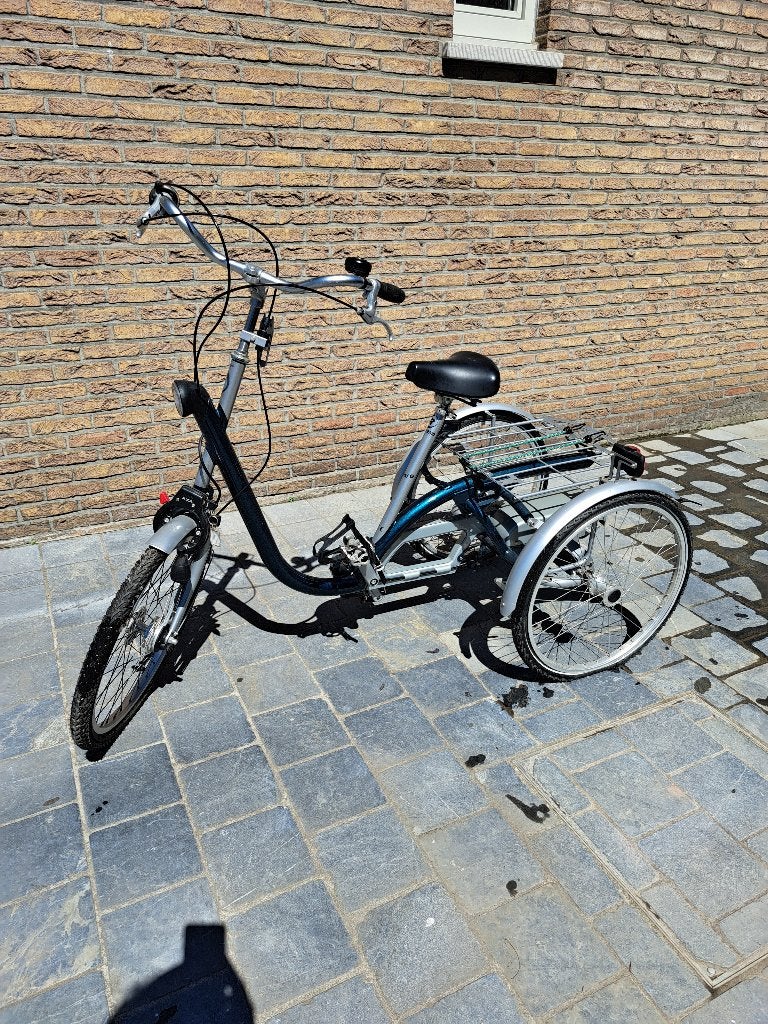 Driewieler Van Raam Maxi 2, Fietsen en Brommers, Ophalen, Zo goed als nieuw, Van Raam