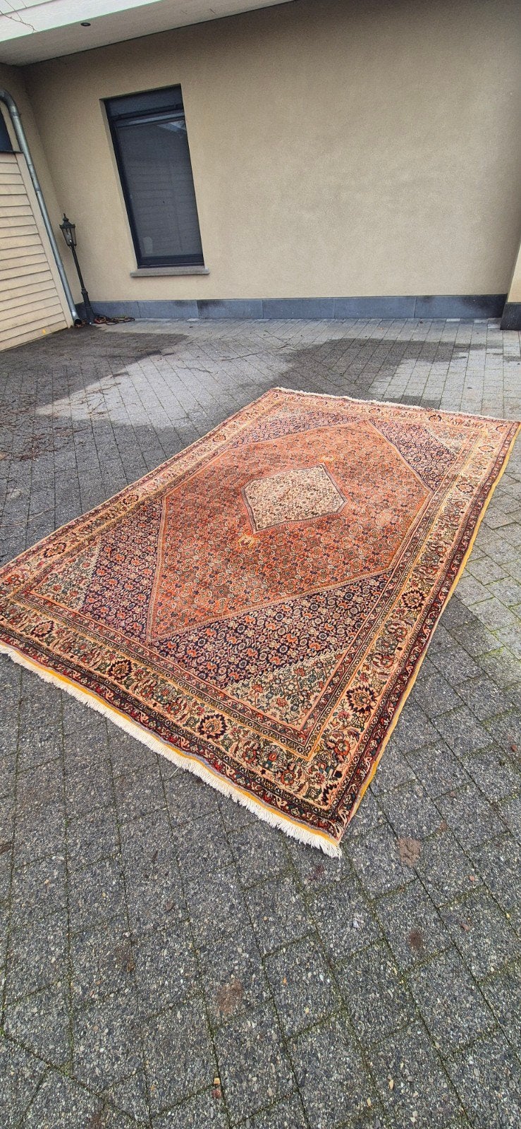 Oosterse tapijt, Enlèvement