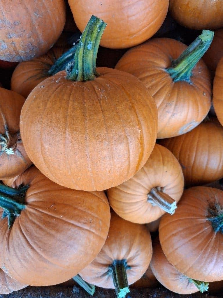 Pompoenen Helloween, Divers, Enlèvement