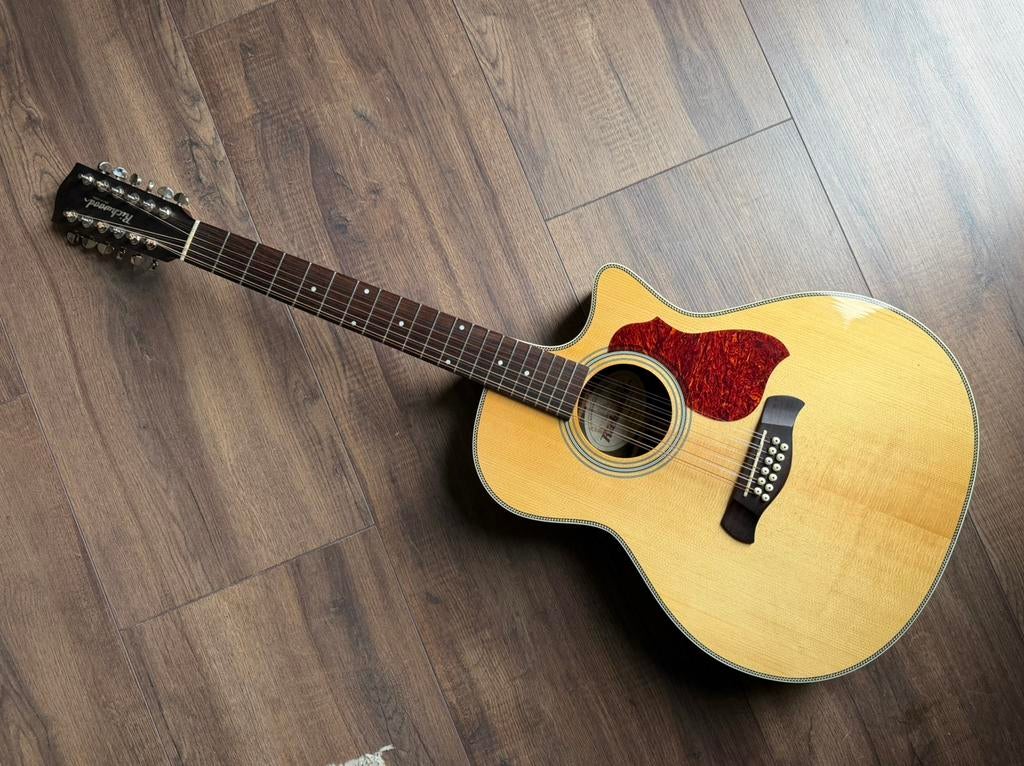Richwood G-6512-CEVA Master Series 12-string, Ophalen of Verzenden, Zo goed als nieuw