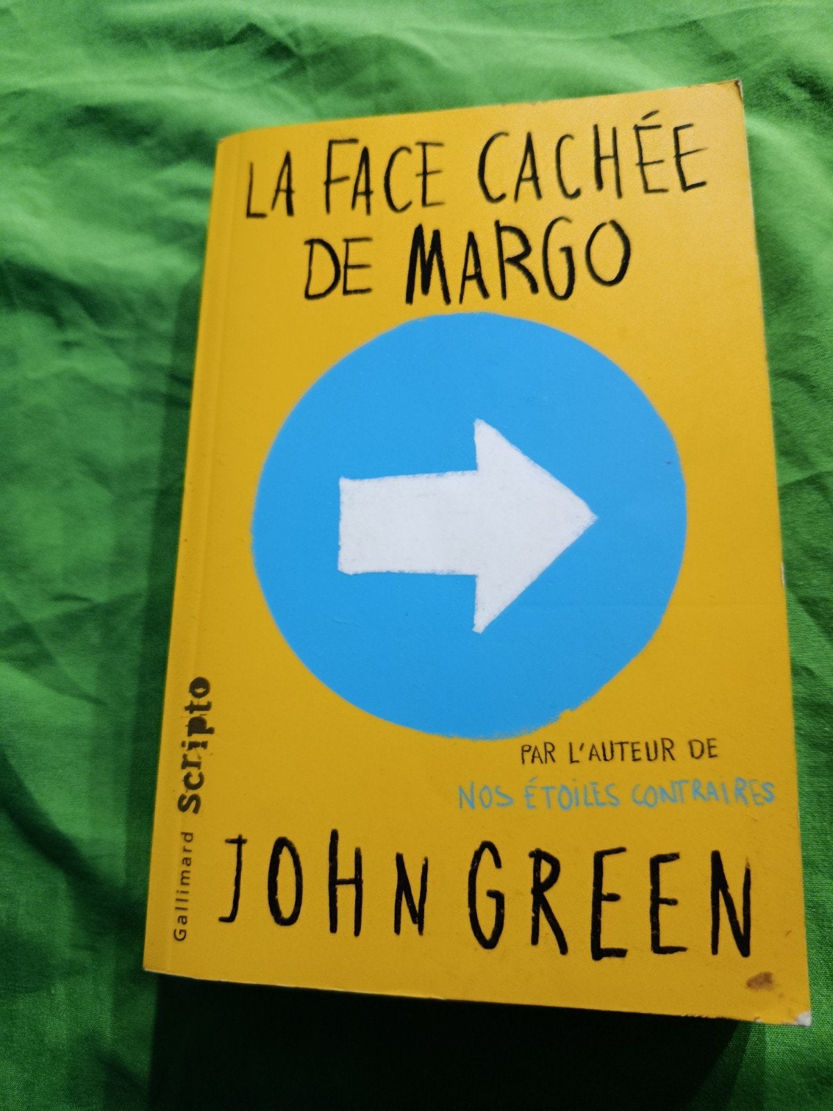 La face cachée de Margo -John Green, Livres, Enlèvement