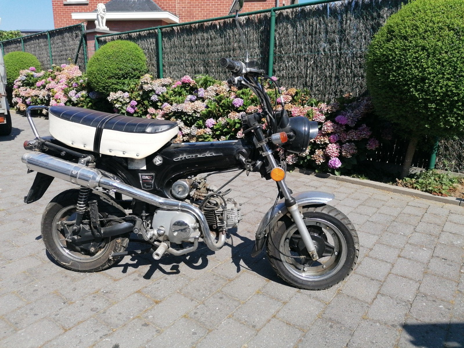 Skyteam Dax 50cc replica bromfiets, Ophalen, Honda, Gebruikt, 4 versnellingen