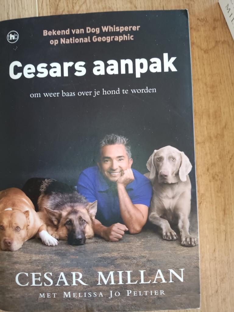 Boek Cesar Millan - Cesars aanpak hond, Boeken, Ophalen, Honden, Cesar Millan, Zo goed als nieuw