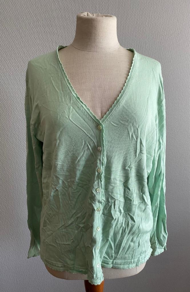 Mintgroene gilet Jobis maat 44, Kleding | Dames, Verzenden, Maat 42/44 (L), Zo goed als nieuw, Groen