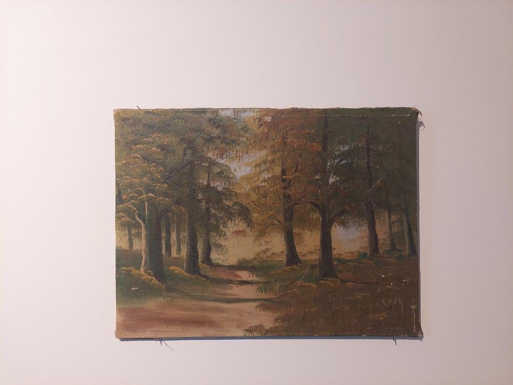 Van Looy - Olieverf op doek - Boslandschap, Antiek en Kunst, Ophalen of Verzenden