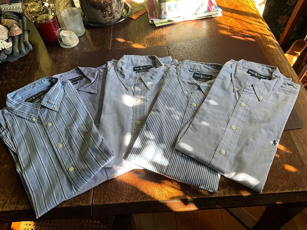 Herenhemden Raph Lauren, Kleding | Heren, Ophalen of Verzenden, Gedragen, Halswijdte 41/42 (L)
