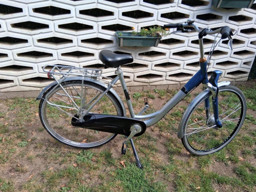 Batavus Weekend 8 versnellingen 28inch 53cm, Fietsen en Brommers, Fietsen | Dames | Damesfietsen, Ophalen, Versnellingen, Batavus