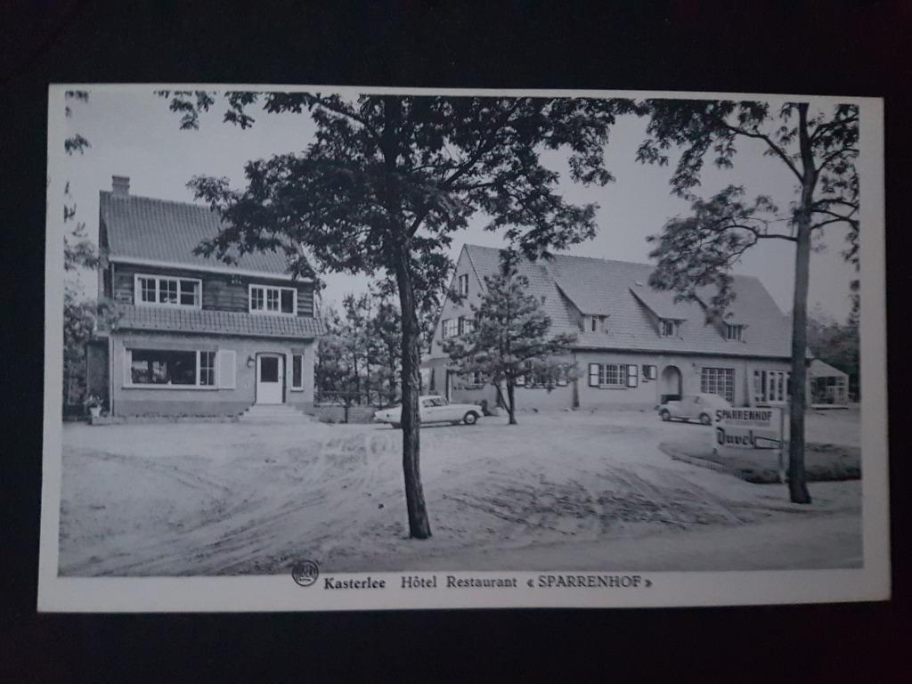 Postkaart Kasterlee Hotel Sparrenhof Restaurant, Ophalen of Verzenden, 1940 tot 1960, Ongelopen, Antwerpen
