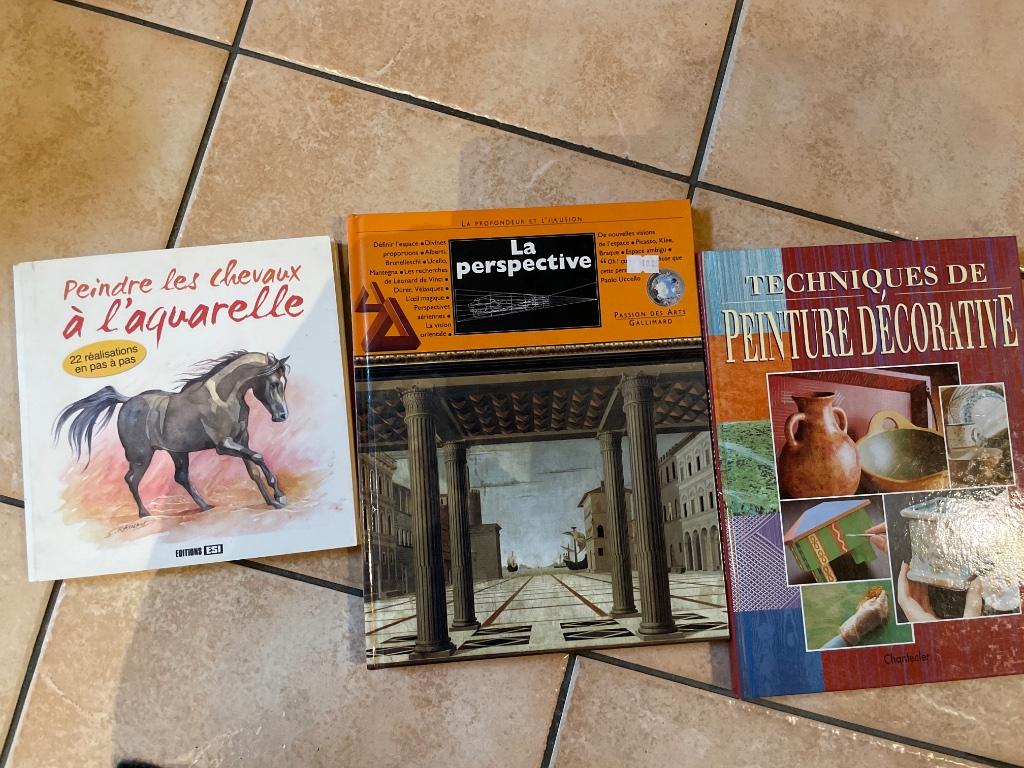 Livres sur la peinture, Enlèvement ou Envoi, Utilisé