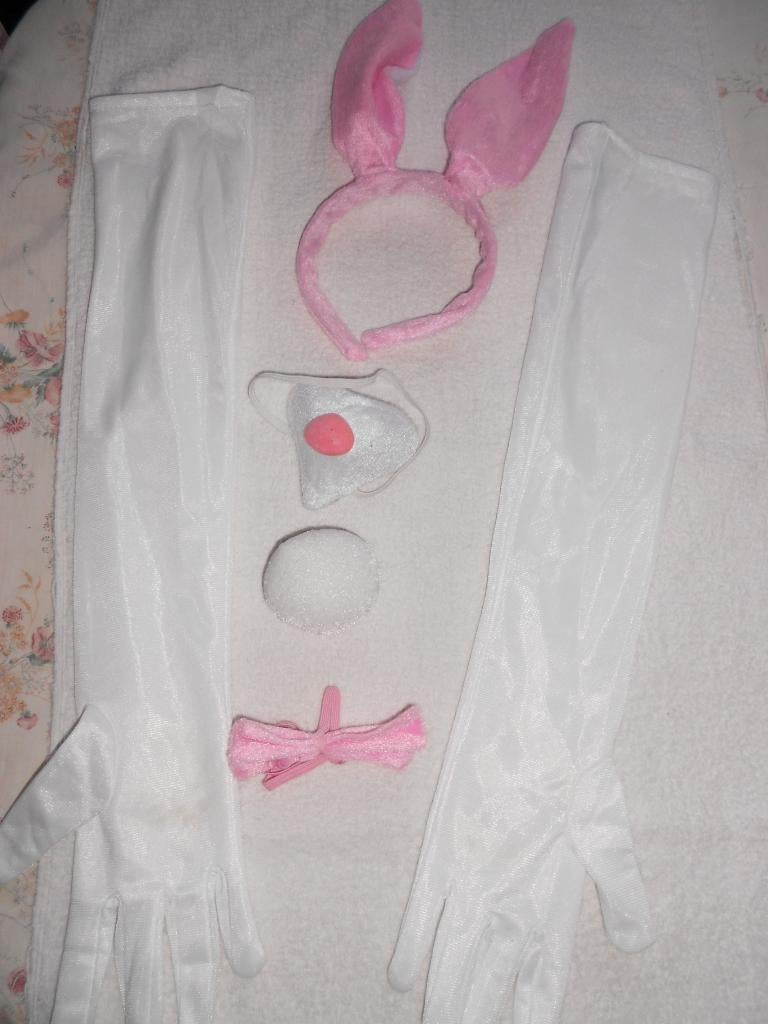 bunny set, Ophalen of Verzenden, Gebruikt, Kostuum