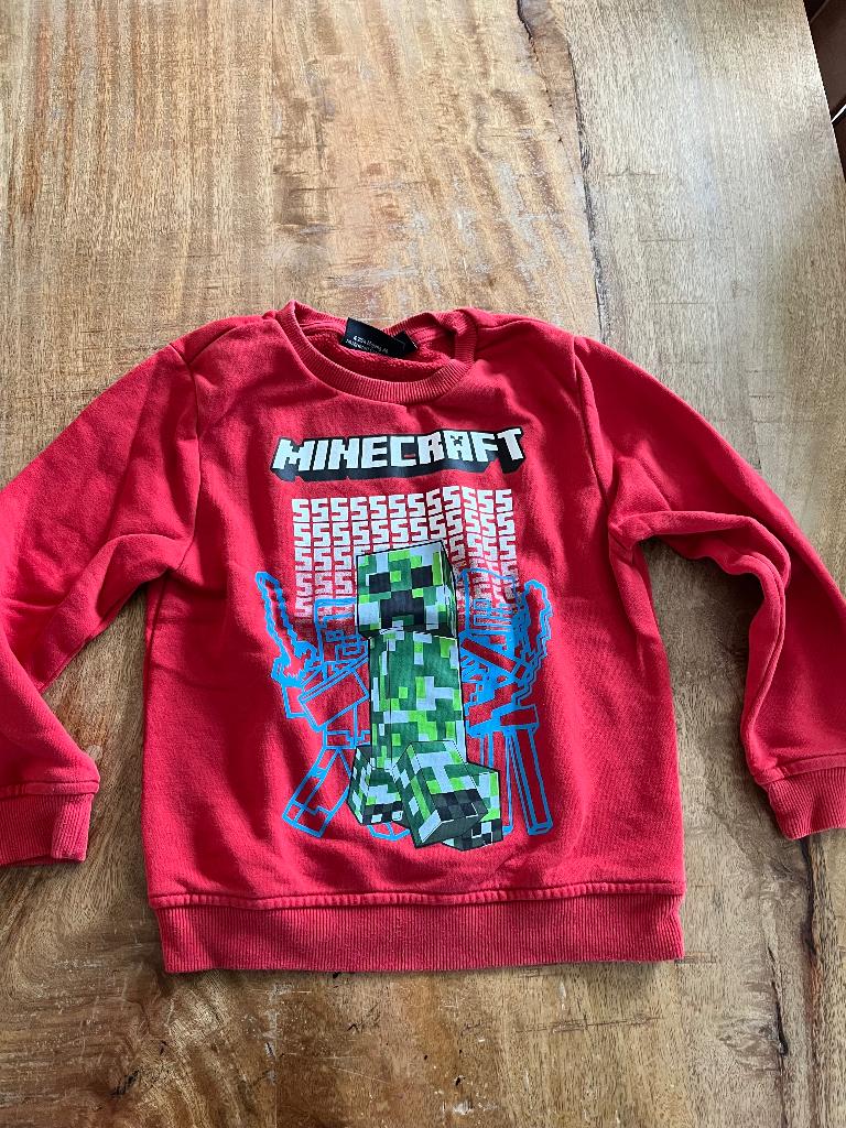 Minecraft-sweatshirt, Kinderen en Baby's, Ophalen, Jongen of Meisje, Trui of Vest, Minecraft