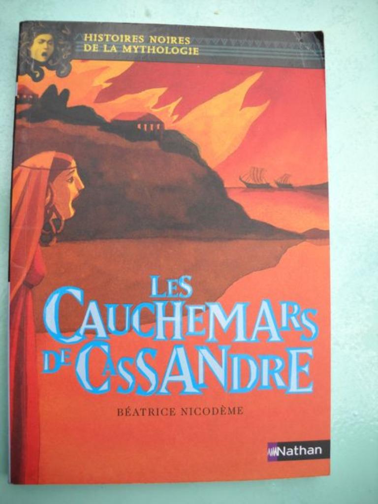 Les cauchemars de Cassandre - Béatrice Nicodème, Enlèvement ou Envoi, Utilisé, Béatrice Nicodème, Fiction