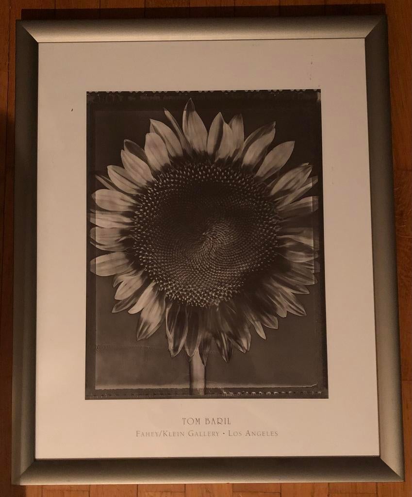 Illustrations encadrées, dessins de fleurs, Enlèvement ou Envoi, Comme neuf, Imprimé