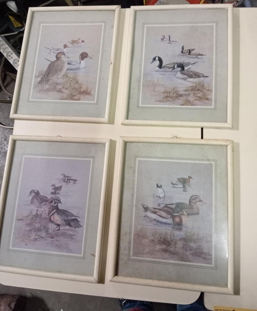4 kaders eenden en ganzen, Enlèvement ou Envoi