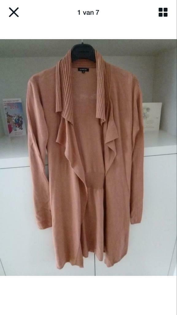 Caroline Biss halflange gilet maat 36, Ophalen of Verzenden