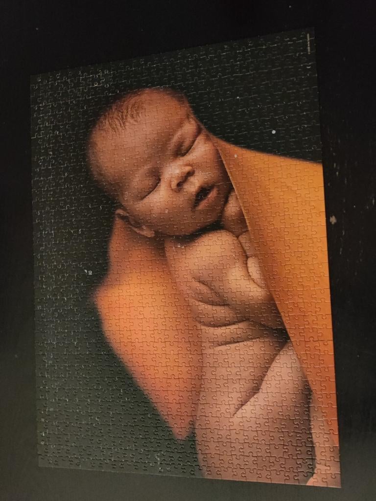 Anne geddes puzzel, Enlèvement ou Envoi, Comme neuf